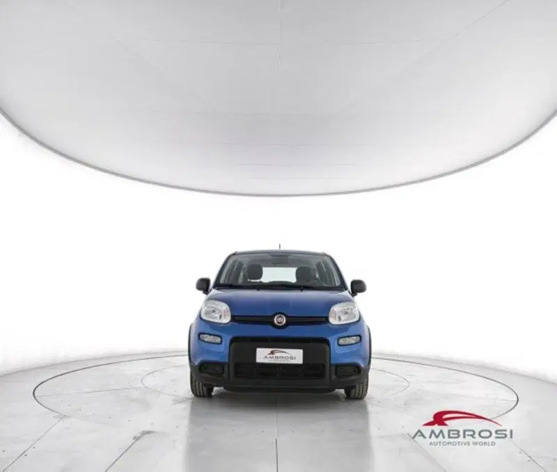 Fiat Panda usata a Perugia (5)
