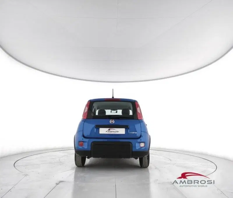 Fiat Panda usata a Perugia (6)