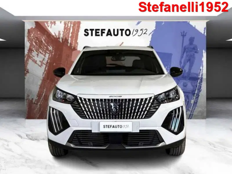 Peugeot 2008 usata a Bologna (2)