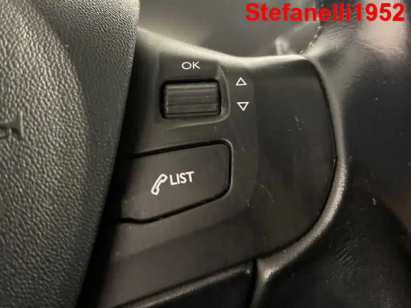 Peugeot 2008 usata a Bologna (19)