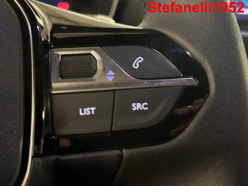 Peugeot 2008 usata a Bologna (19)