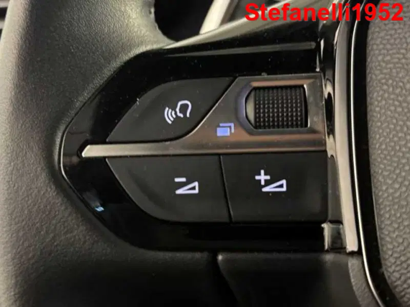 Peugeot 2008 usata a Bologna (20)