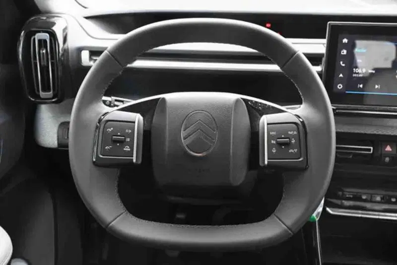 Citroen C3 usata a Torino (16)