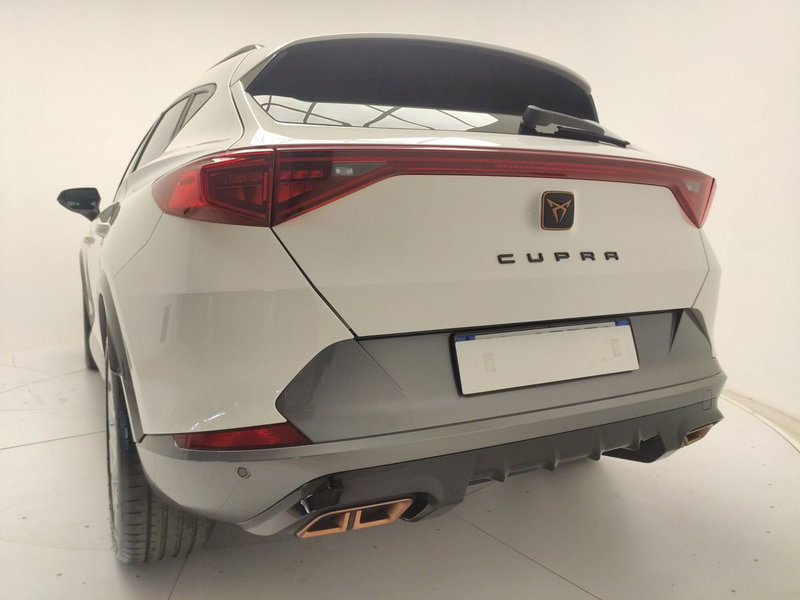 Cupra Formentor usata a Avellino (13)