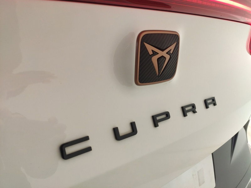 Cupra Formentor usata a Avellino (16)
