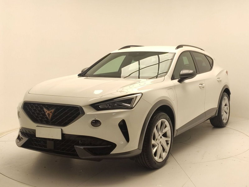 Cupra Formentor usata a Avellino (3)