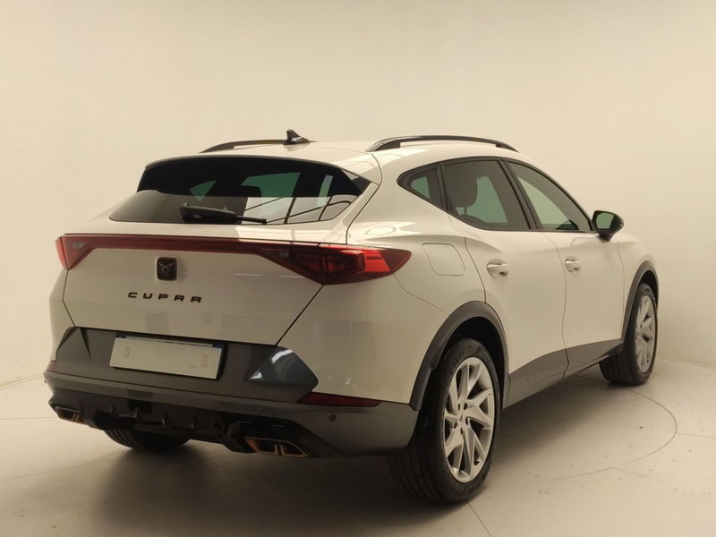 Cupra Formentor usata a Avellino (7)