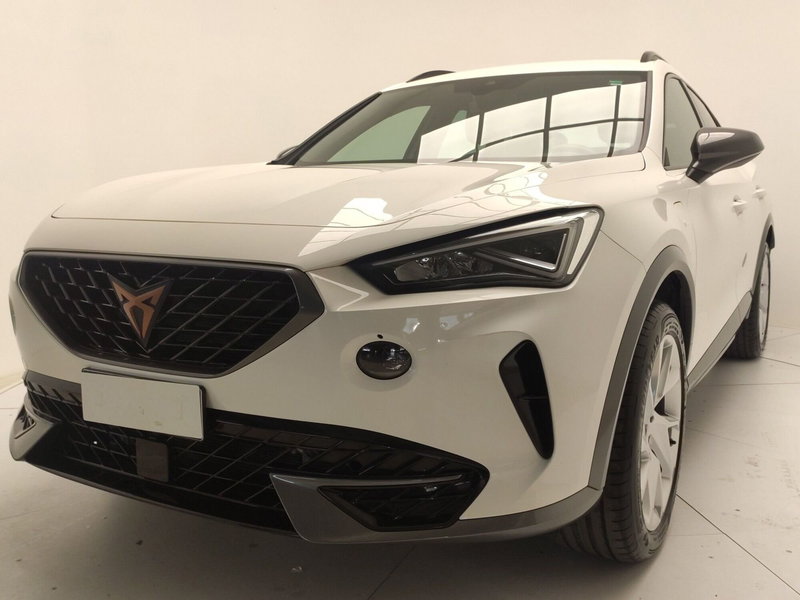 Cupra Formentor usata a Avellino (9)