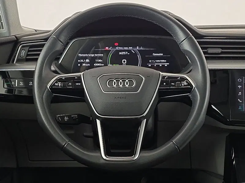 Audi e-tron usata a Alessandria (12)