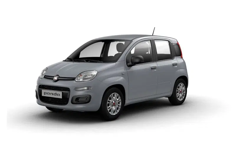 Fiat Panda Cross usata a Palermo