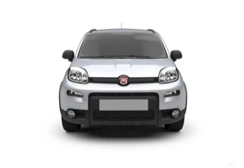 Fiat Panda Cross usata a Palermo (10)