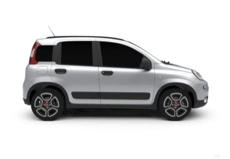 Fiat Panda Cross usata a Palermo (11)