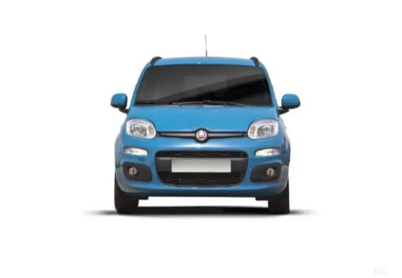 Fiat Panda Cross usata a Palermo (17)