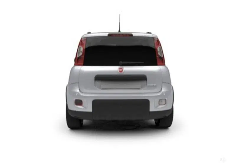 Fiat Panda Cross usata a Palermo (18)