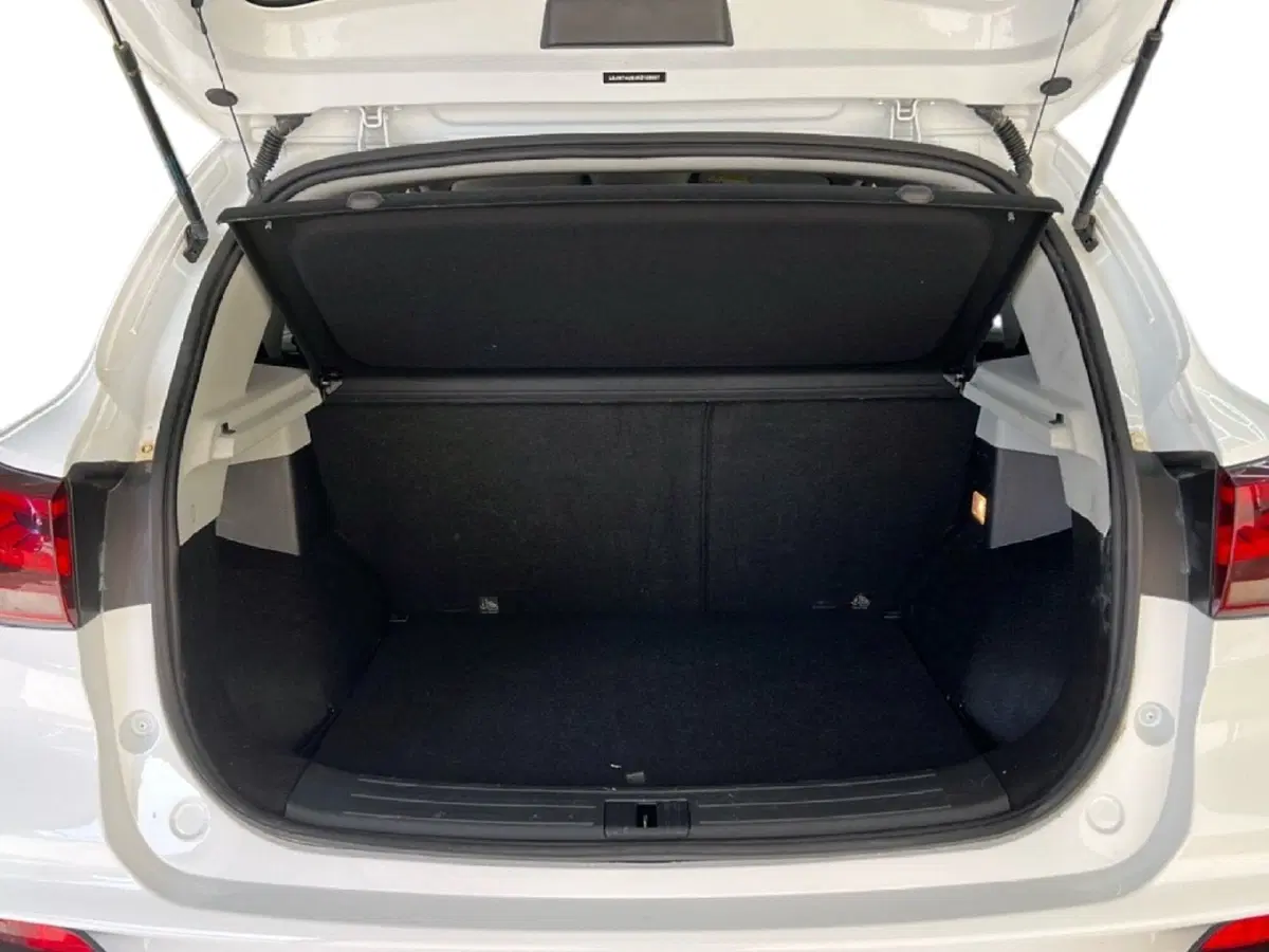 Mg ZS usata a Roma (10)