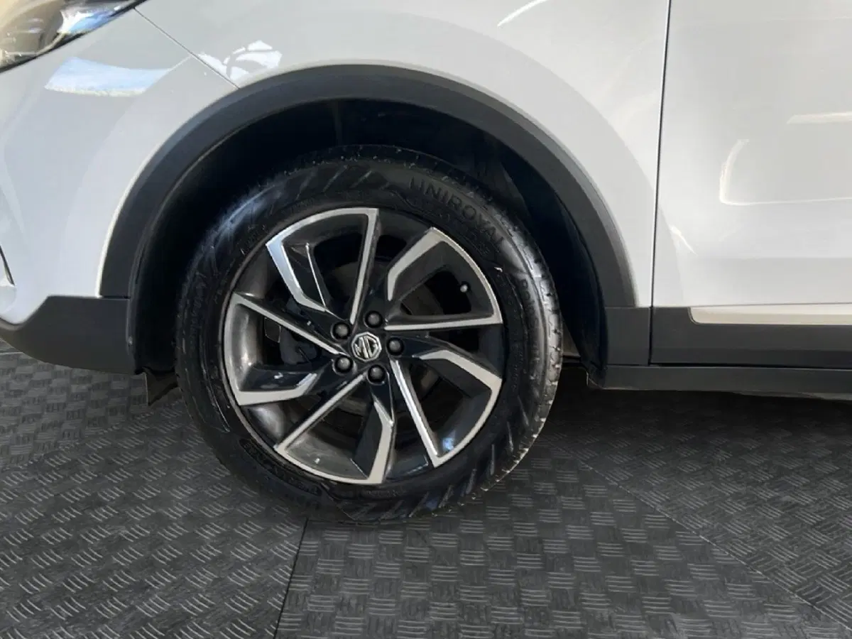 Mg ZS usata a Roma (9)