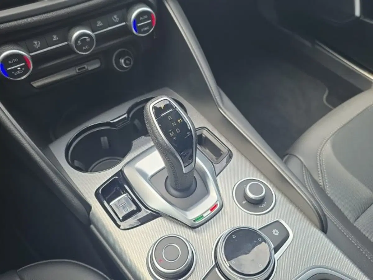 Alfa Romeo Giulia usata a Monza e Brianza (18)