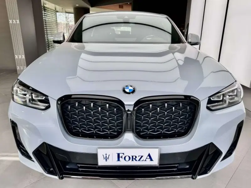 BMW X4 usata a Torino (2)