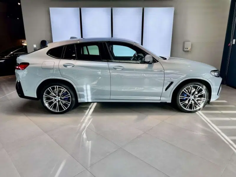 BMW X4 usata a Torino (5)