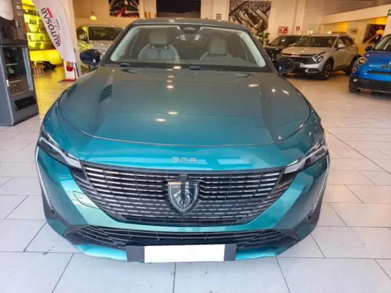 Peugeot 308 SW usata a Firenze (2)