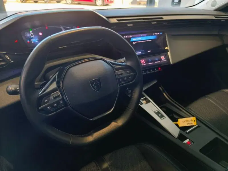 Peugeot 308 SW usata a Firenze (8)