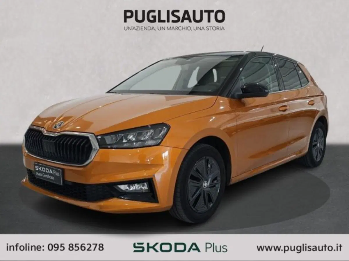 Skoda Fabia usata a Catania (3)
