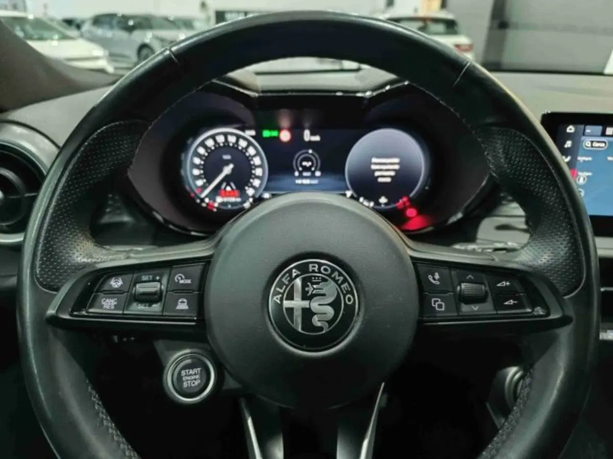 Alfa Romeo Tonale usata a Catania (17)