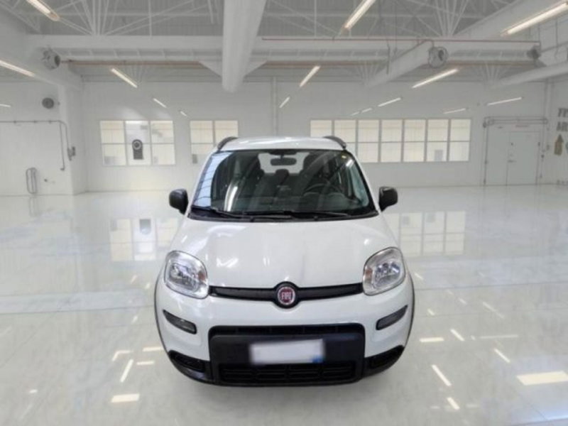 Fiat Panda usata a Catania (5)