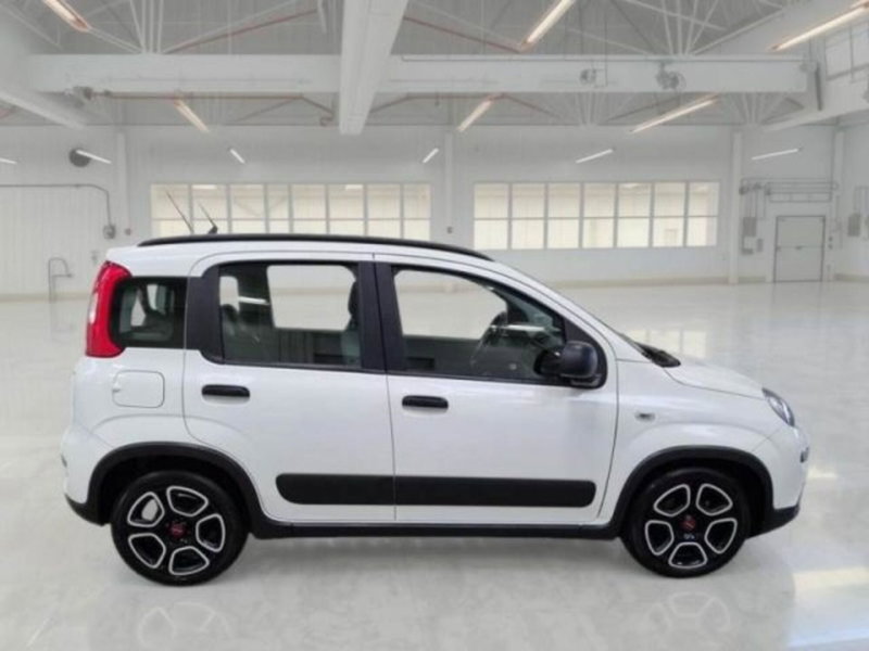Fiat Panda usata a Catania (6)