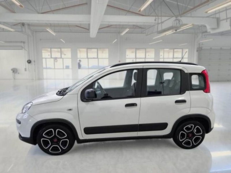 Fiat Panda usata a Catania (7)