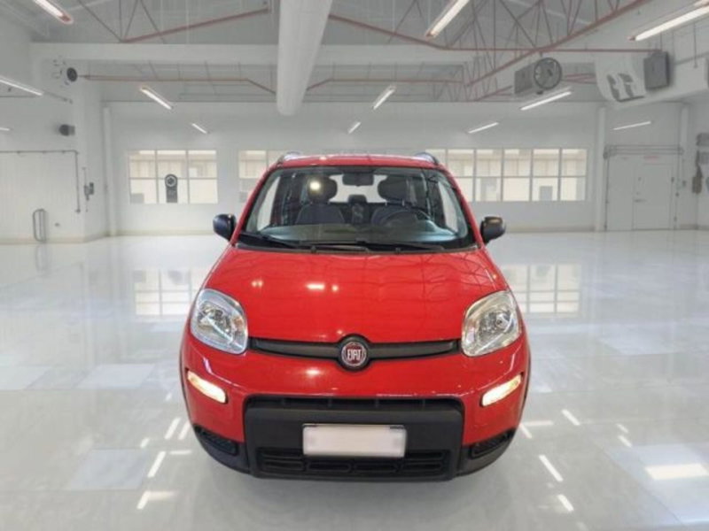 Fiat Panda usata a Catania (3)