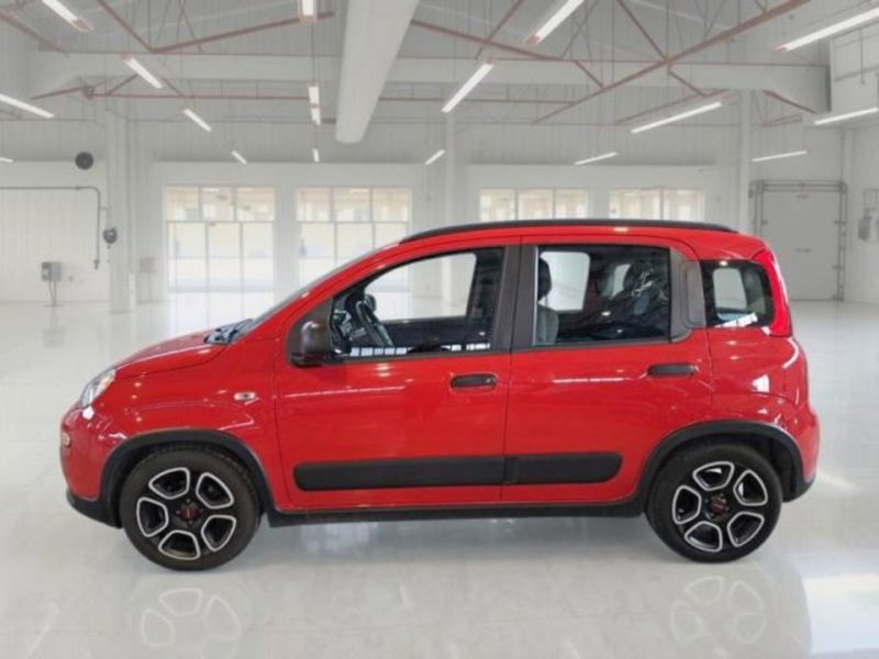 Fiat Panda usata a Catania (5)