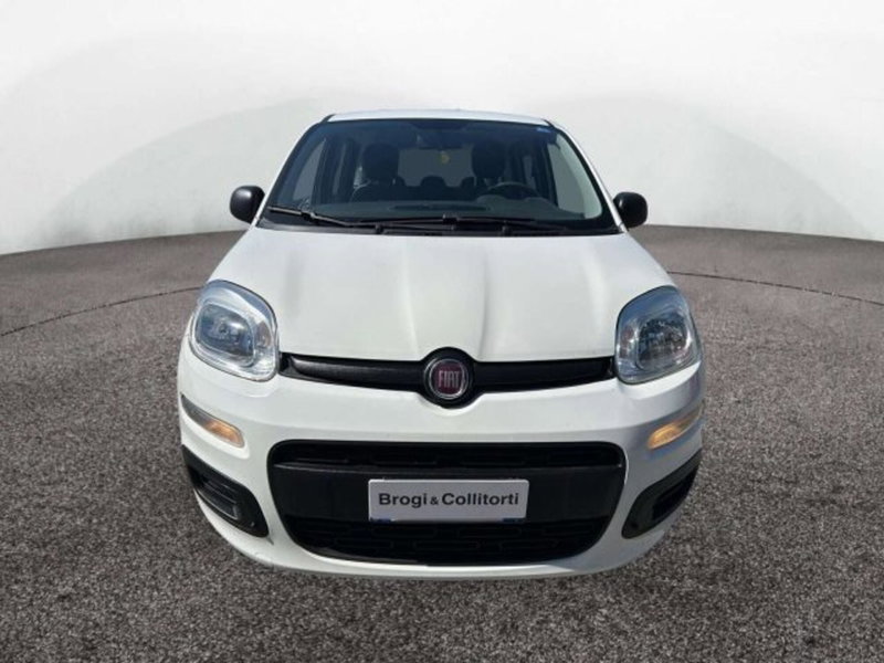 Fiat Panda usata a Firenze (2)