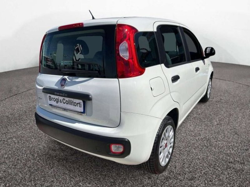 Fiat Panda usata a Firenze (4)