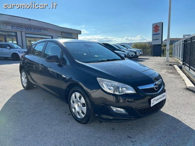 Opel Astra 1.7 CDTI 110CV 4 porte Cosmo del 2011 usata a Campodipietra