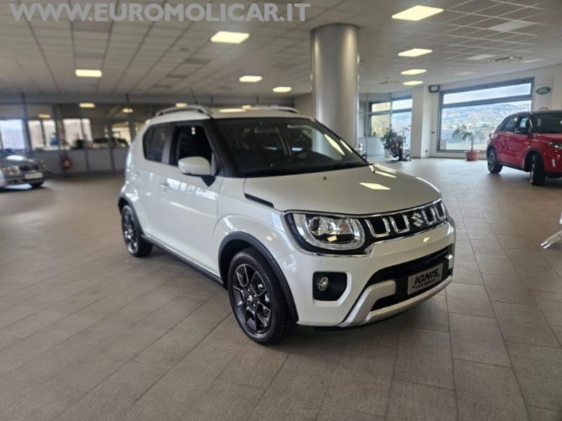 Suzuki Ignis nuova a Campobasso (3)