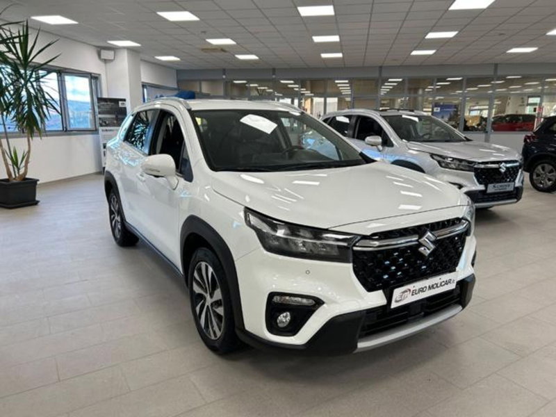 Suzuki S-Cross usata a Campobasso