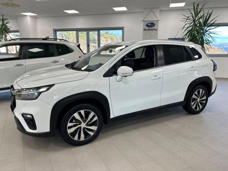 Suzuki S-Cross usata a Campobasso (3)