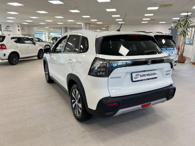 Suzuki S-Cross usata a Campobasso (9)