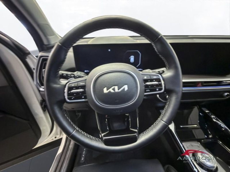 Kia Sorento usata a Perugia (14)