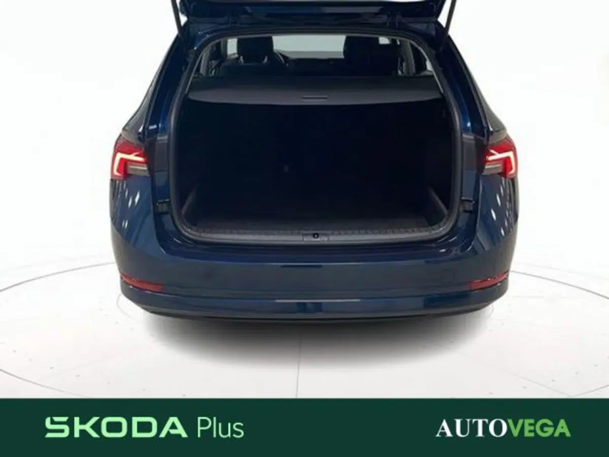 Skoda Octavia Station Wagon usata a Vicenza (18)
