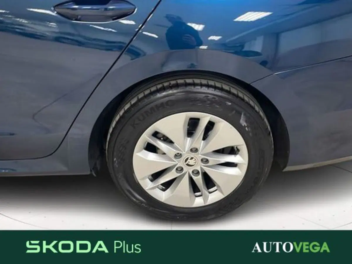 Skoda Octavia Station Wagon usata a Vicenza (19)