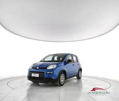 Fiat Panda 1.0 firefly hybrid Pop s&amp;s 70cv del 2024 usata a Corciano