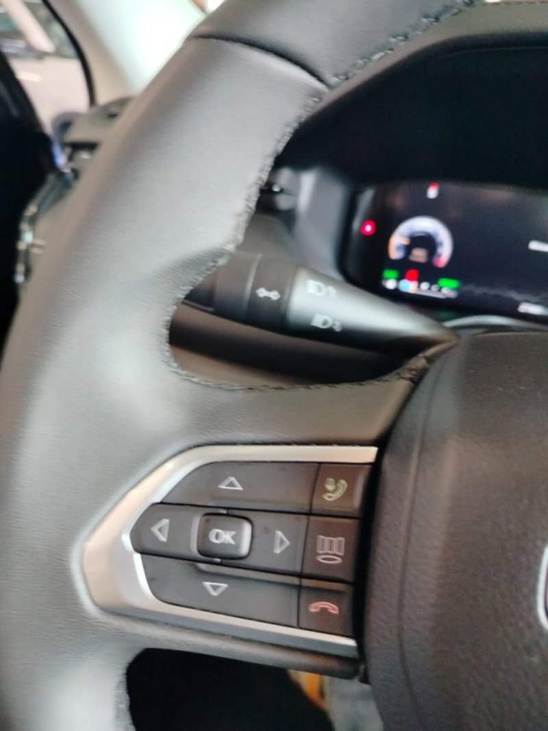 Jeep Compass usata a Forlì-Cesena (19)