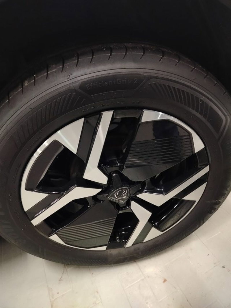 Peugeot 2008 usata a Forlì-Cesena (10)