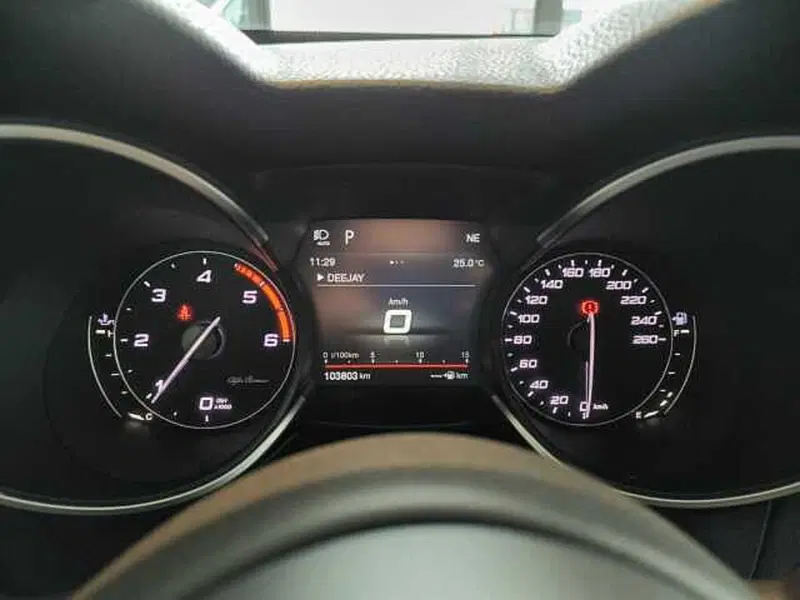 Alfa Romeo Stelvio usata a Forlì-Cesena (13)