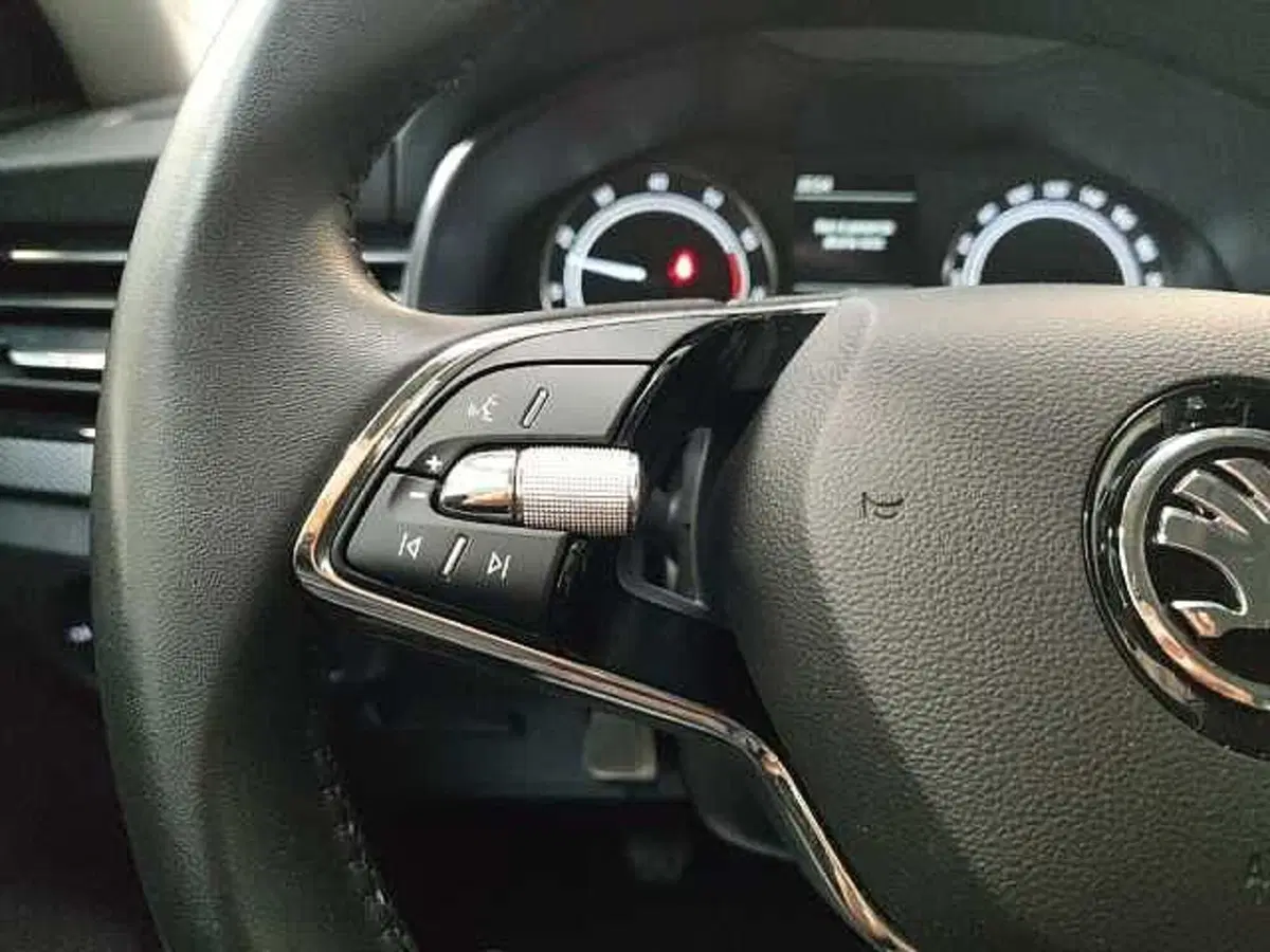 Skoda Kamiq usata a Milano (16)