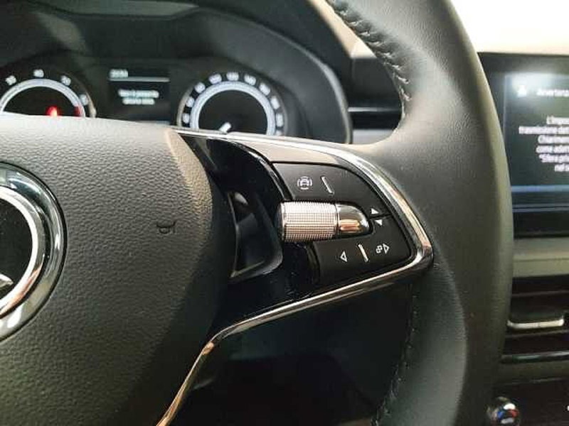 Skoda Kamiq usata a Milano (17)