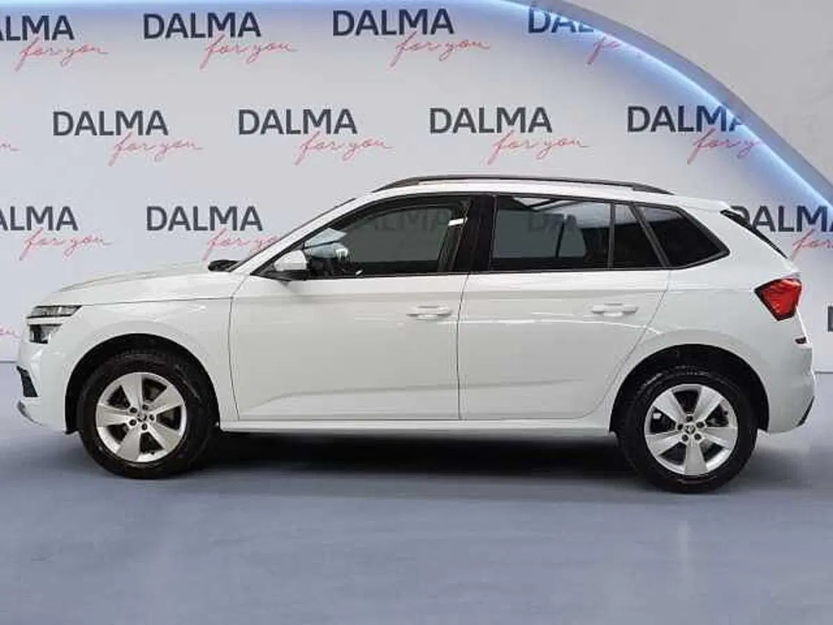 Skoda Kamiq usata a Milano (2)