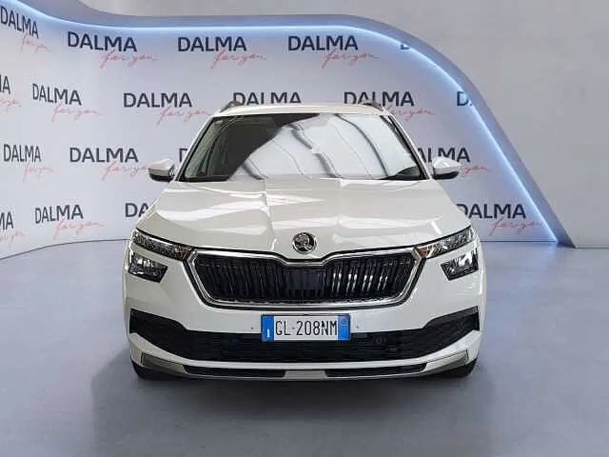 Skoda Kamiq usata a Milano (8)